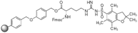 40301.gif